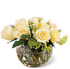 Thoughtful Expressions Arrangement